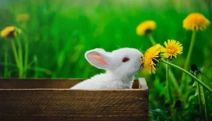 kaiyun中国官方网站-全国武术比赛吸引数千选手同台竞技，2021年全国武术比赛有哪些