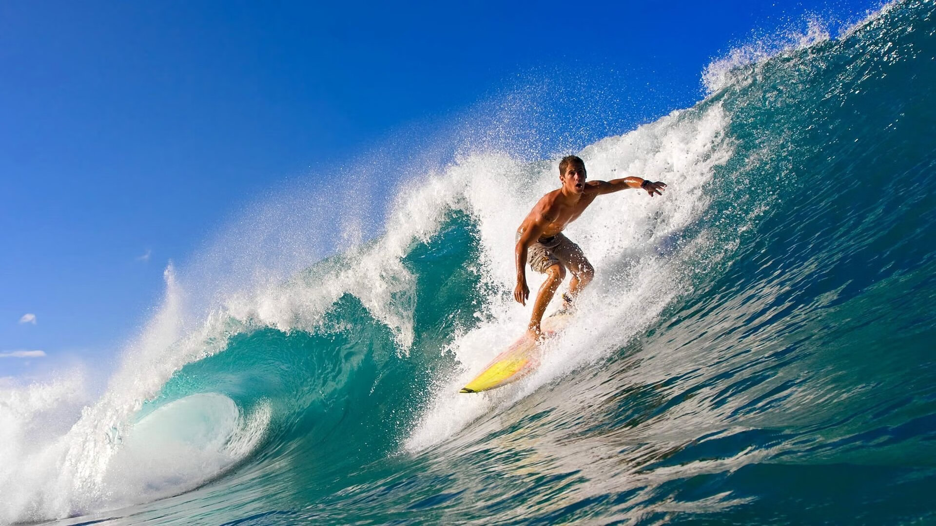 女足世界杯女性领导力展示,女足世界杯名单上篇