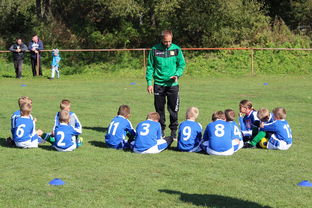 开云官方网站-五大联赛核心球员缺阵时教练战术应变差异分析，五大联赛主教练工资排名